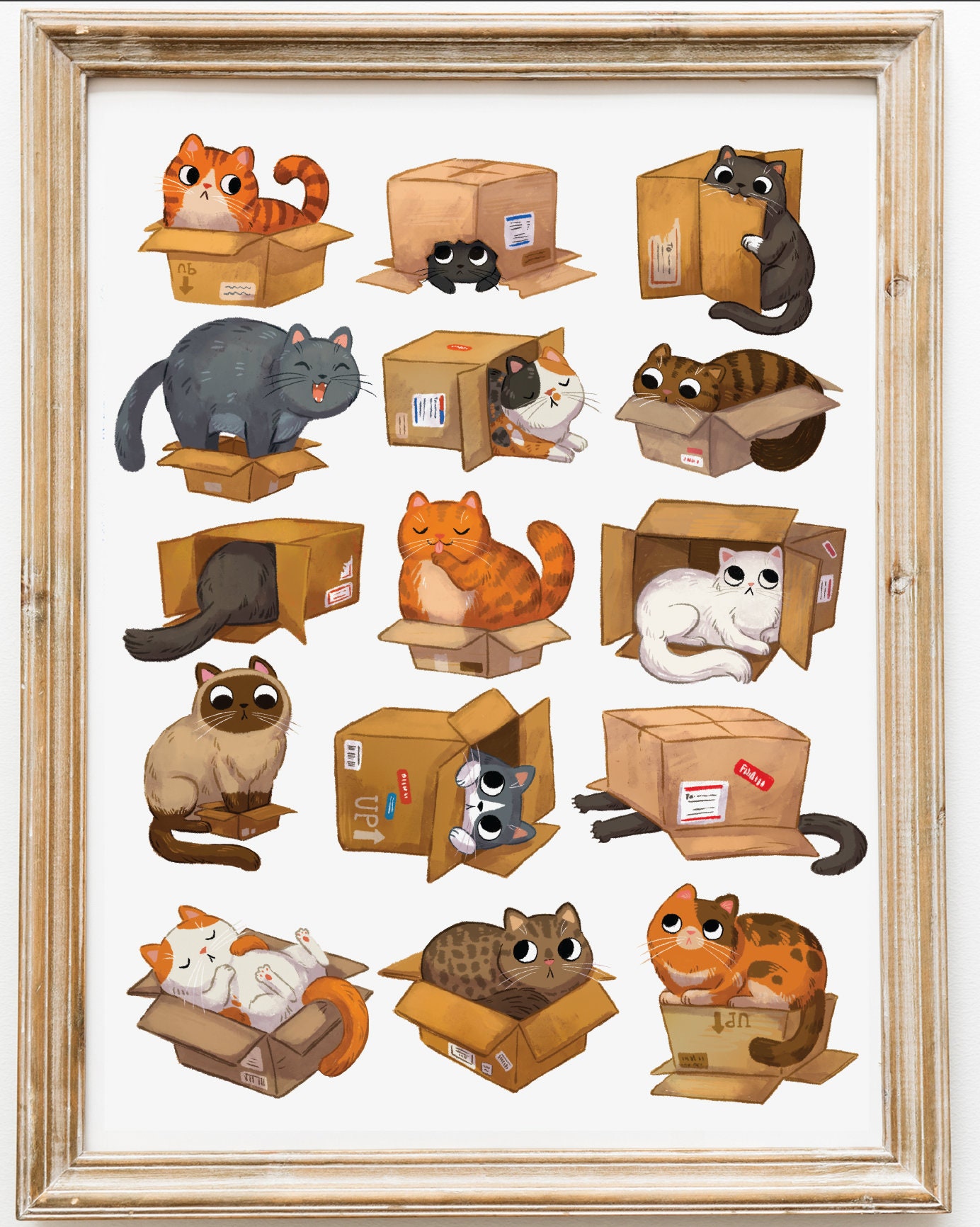 箱入り猫 鉛筆画 Amazon.com : Princeton Architectural Press Cat Box: 100