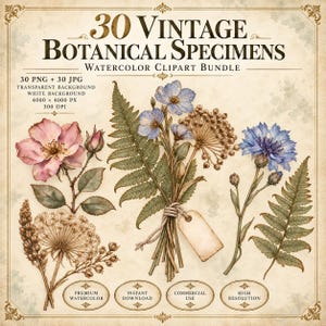 Może przedstawiać: Cyfrowa kolekcja zatytułowana 30 Vintage Botanical Specimens Watercolor Clipart Bundle zawierająca ilustracje różowych róż, niebieskich chabrów, paproci i suszonych kwiatostanów, z pustą etykietą przywiązaną do bukietu oraz tekstem.