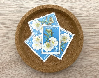 1979 Evening Primrose 15c stamp (10 pieces) - vintage unused United States postage stamps - Scott #1786 - 15 cent - Endangered Flora