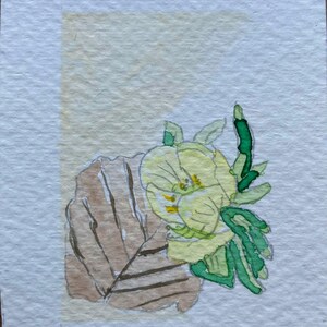 Erantis Eranthis Winterling Aquarell Blume - Handgemalte nordische Kunst