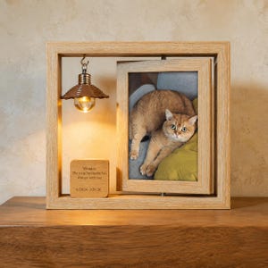 May include: A wooden picture frame with a photo of a golden cat. The frame has a small light fixture and a wooden block with the text "Whiskey The most handsome boy Always with you 6/24/24-3/26/26".