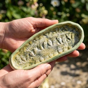 Può includere: Un piatto in ceramica oblungo fatto a mano con un motivo strutturato a forma di foglia. Il piatto presenta un bordo verde chiaro e una tavolozza di colori terrosi screziati di verdi e creme. Il pezzo è tenuto in due mani, mostrando il suo design unico.