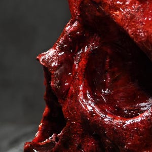 Puede incluir: Una vista de perfil de una réplica de cráneo humano con un acabado rojo oscuro brillante. La textura de la superficie parece desigual y porosa, con un brillo húmedo y reflectante que cubre la cuenca del ojo, la cavidad nasal y el pómulo.