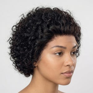May include: A black, curly wig with a natural-looking hairline. The hair is styled in tight, voluminous curls. The wig appears to be made of high-quality synthetic or human hair, designed to mimic natural hair.