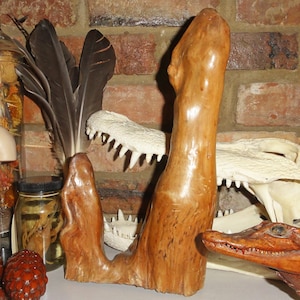 Rodilla de ciprés doble vintage de madera de pantano de 11,6"