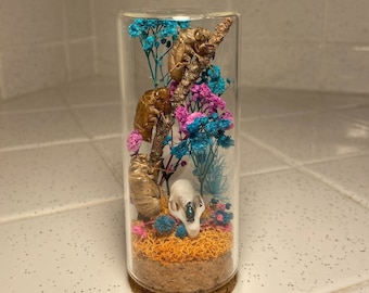 Tre pelli di cicala rampicanti, replica del teschio di ratto, barattolo delle stranezze, tassidermia di insetti