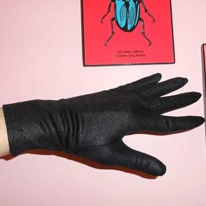 Peut inclure: Un gant noir avec une surface texturée. Le gant est sur un fond rose, avec deux œuvres d'art encadrées en arrière-plan. L'une représente un scarabée bleu sur fond rouge, l'autre un requin.