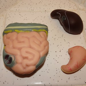 Vintage Plastic Human Organ Miniatures liver kidney intestines