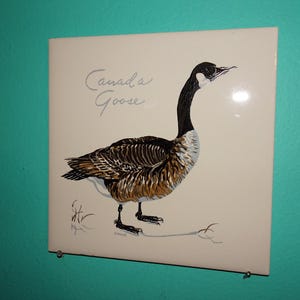 Puede incluir: Azulejo cuadrado de color crema con una ilustración detallada de un ganso canadiense. El ganso tiene la cabeza y el cuello negros, una mancha blanca en la mejilla y plumaje marrón y blanco. Las palabras "Canada Goose" están escritas en cursiva.