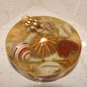 Vintage Handmade Seashell Resin Paperweight ocean theme