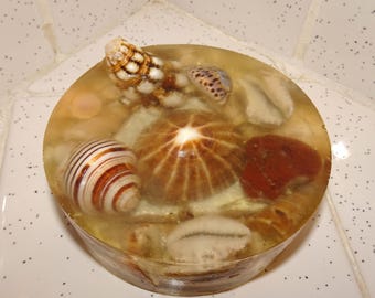 Vintage Handmade Seashell Resin Paperweight ocean theme