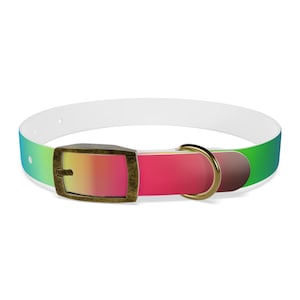 Può includere: Un collare per cani con interno bianco ed esterno sfumato che passa dal blu-verde al rosa e poi al verde. Il collare presenta una fibbia color bronzo e un anello dorato.