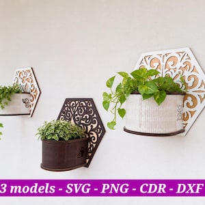 May include: Three wall-mounted planters with hexagonal backings featuring intricate laser-cut scrollwork patterns. Two planters are white with green trailing plants, and one is dark brown with a small green plant. Text reads: 3 models - SVG - PNG - CDR - DXF.