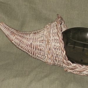 Cornucopia Wicker Basket with Insert Table Top Holiday Vintage Shabby Horn of Plenty