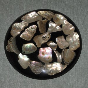 Abalone Mother of Pearl Shell Trivet Resin Lucite Acrylic Kitchen Vintage