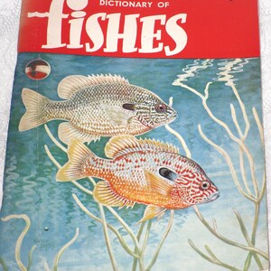 Dictionary of Fishes by Rube Allyn Vintage Reference Identification Book