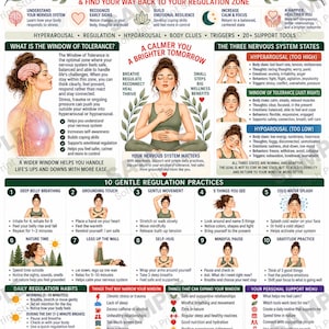 May include: An educational infographic titled Window of Tolerance featuring illustrations of a person practising mindfulness, diagrams of the nervous system, and a list of ten gentle regulation practices to help manage stress and emotional states.