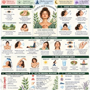 May include: An educational poster titled Nervous System Reset featuring daily somatic techniques for stress relief. It includes illustrations and text instructions for grounding, vagus nerve stimulation, somatic reset techniques, and daily regulation habits.