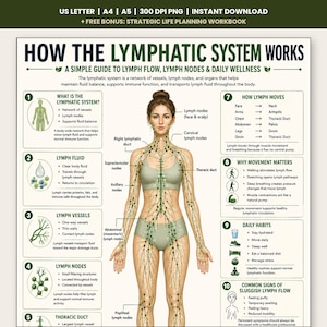 Come funziona il sistema linfatico - Poster, Schema didattico sul flusso linfatico di tutto il corpo, Anatomia e benessere stampabile, Salute immunitaria in PDF