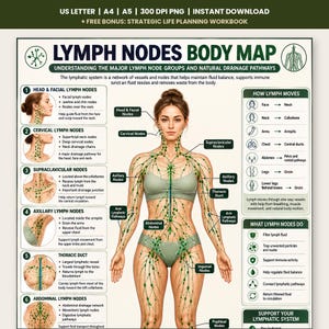 Poster stampabile della mappa dei linfonodi del corpo, schema anatomico completo del sistema linfatico, percorso di drenaggio linfatico stampabile a scopo didattico, PDF sul benessere