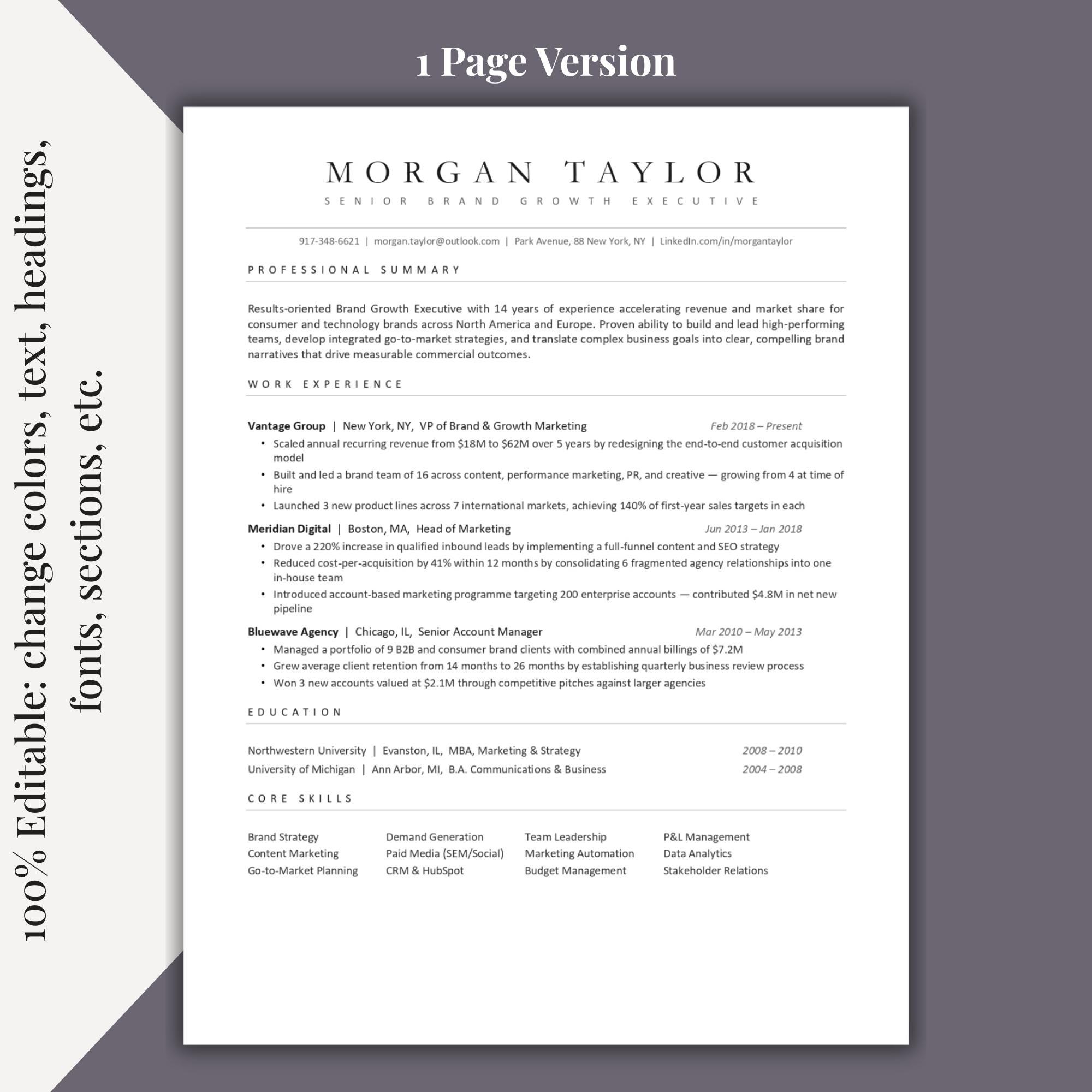 Executive Resume Template | Modern C Level Resume Template for Word ...