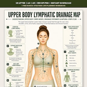 Mappa stampabile del drenaggio linfatico della parte superiore del corpo, schema dei linfonodi per braccia e torace, percorsi del flusso linfatico stampabili, PDF per il benessere