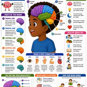 May include: An educational poster titled Brain Parts & Functions for Kids featuring a central illustration of a child with a colorful brain diagram. The chart includes sections on brain anatomy, body connections, healthy tips, and learning activities.