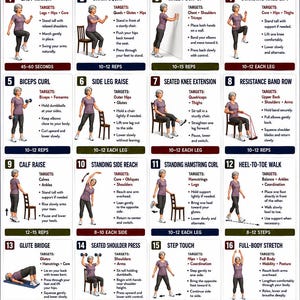 Op de afbeelding: Een full-body workoutschema voor personen boven de 50, met 16 geïllustreerde oefeningen inclusief instructies, doelspiergroepen en herhalingen. De poster bevat secties voor trainingsrichtlijnen, voordelen en veiligheidsherinneringen.