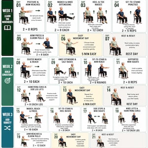 Chair Strength Program for Seniors, 28 Day Progressive Seated Workout Plan, Full Body Fitness Chart, Printable Wall Poster