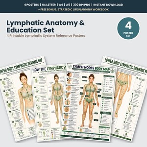 Full body Lymphatic Anatomy and Education Set, 4 Poster Body System Reference Bundle, Lymph Nodes Map, Drainage Pathways Chart PDF