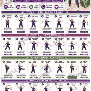 May include: An instructional poster titled Tai Chi for 50+ featuring 28 gentle full body exercises organized into four weekly sections. The chart includes numbered illustrations of a person performing movements, text instructions, and a 28-day tracker.
