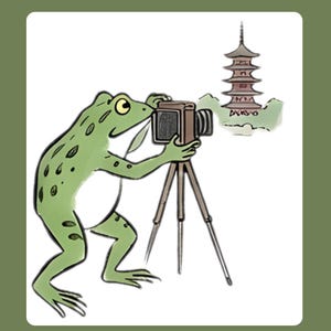 Puede incluir: Ilustraci&oacute;n caprichosa de una rana verde usando una c&aacute;mara vintage en un tr&iacute;pode para fotografiar una pagoda. La rana est&aacute; detallada con manchas oscuras y vientre blanco. La pagoda es marr&oacute;n con techo de varios niveles, sobre fondo blanco.