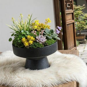 Mini maceta de cerámica negra mate para bonsáis - Maceta con base para musgos y suculentas - 13 cm x 8 cm