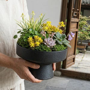 Mini Matte Black Ceramic Bonsai Pot - Footed Pot for Mosses and Succulents - 13cm x 8cm