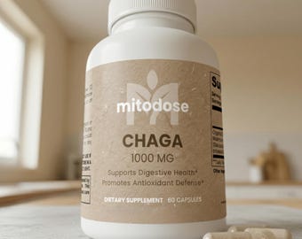 Extrait de supplément de champignon Chaga biologique, 1000 mg de soutien immunitaire, vitalité naturelle de santé digestive, booster d'antioxydants
