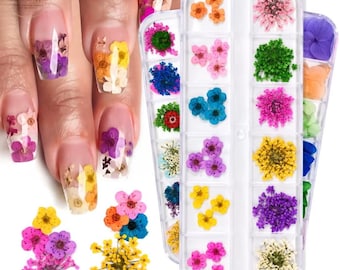 12 Grid Flower Nail Sticker Set, 3D Dried Flowers Nail Art Charms, Natural Floral Decals for UV Gel Polish, DIY Manicure Supplies