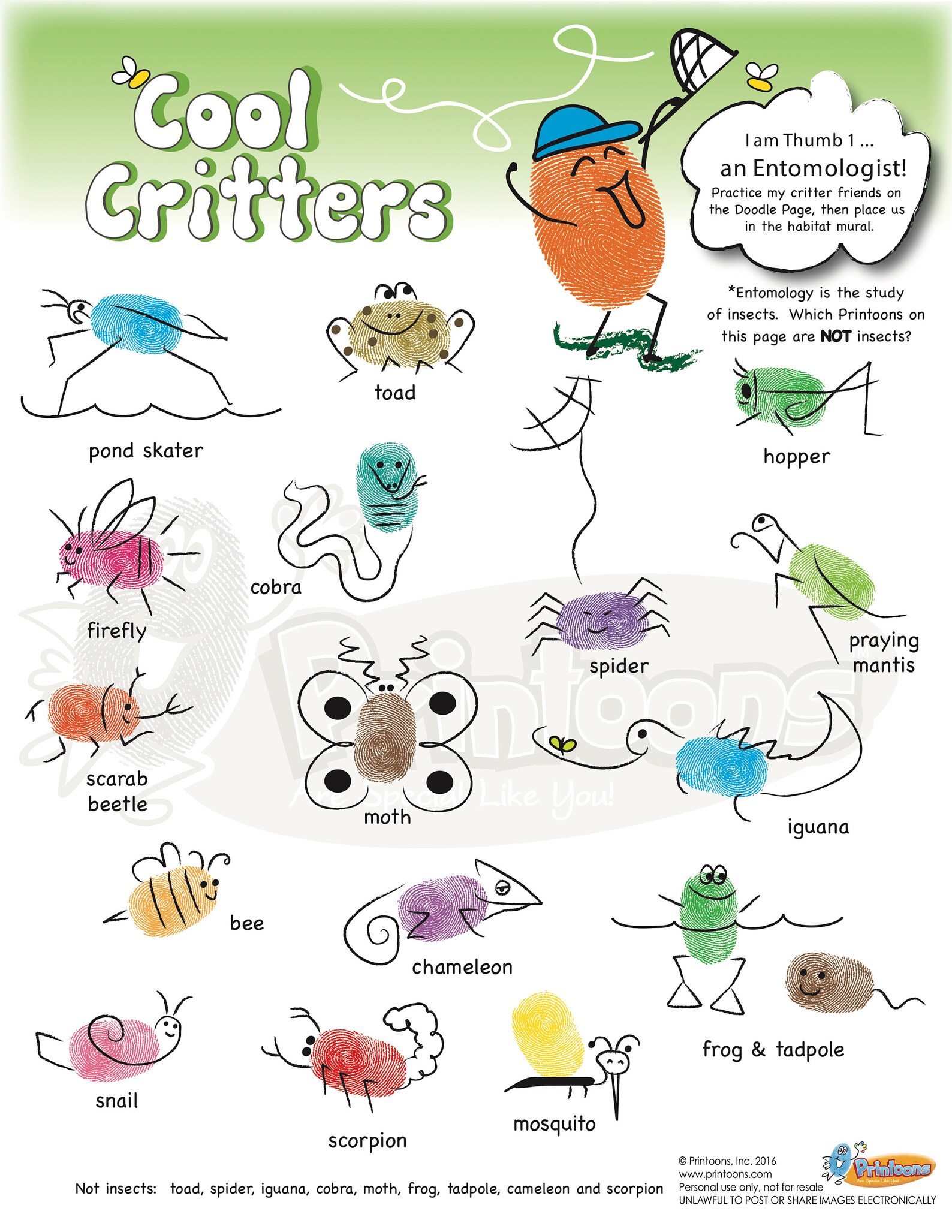 INSECT THUMBPRINT ART I Love Bugs Fingerprint Art Bugs Etsy