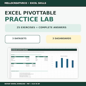 Excel-Übungsmappe für Pivot-Tabellen, 25 Übungen mit Lösungen, PivotChart-Dashboard-Schulung, Datenanalyse-Kenntnisse für den Beruf