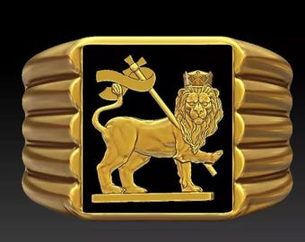 Anello da uomo Leone di Giuda, in argento sterling e placcato oro 14 carati, anello con sigillo a forma di leone, gioielli da uomo in stile Bob Marley, anello con bandiera del leone di Giuda