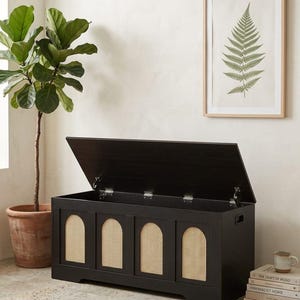 May include: A black wooden storage chest with a hinged lid, featuring four arched panels with woven cane inserts. A potted plant and a framed fern print are visible. The chest is approximately 122 cm wide.