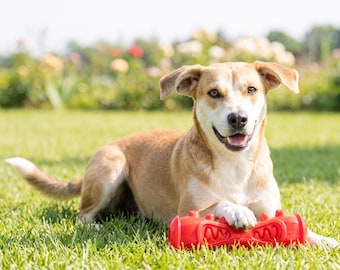 Juguete masticable de goma roja para perros con púas