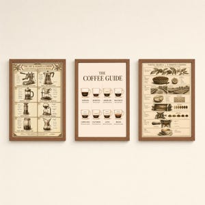 Puede incluir: Tres láminas de pared enmarcadas con marcos de madera marrón. La lámina de la izquierda muestra métodos de preparación de café, la central es una guía de café con nombres de bebidas y la derecha ilustra el viaje del café desde la semilla.