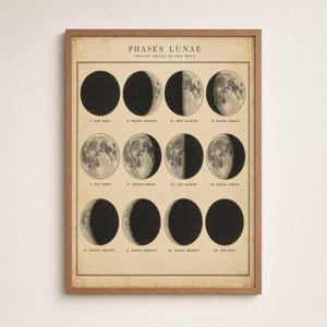 Puede incluir: Una lámina de pared enmarcada sobre papel envejecido con el texto PHASES LUNAE TWELVE PHASES OF THE MOON. Muestra doce ilustraciones circulares de las fases lunares etiquetadas de I a XII, desde la luna nueva hasta la luna llena en negro y crema.