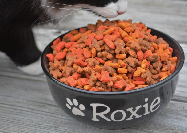 Pet Food Bowl Personalized Pet Gifts Personalized Dog Food Dish Personalized Pet Food Bowl Dog Food Bowl Cat Food Bowl Pet Dish