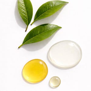 May include: An overhead shot features three vibrant green leaves and three translucent, oval-shaped droplets of varying sizes. One droplet is yellow, one is clear, and the smallest is a pale yellow. The composition is set against a clean white background.