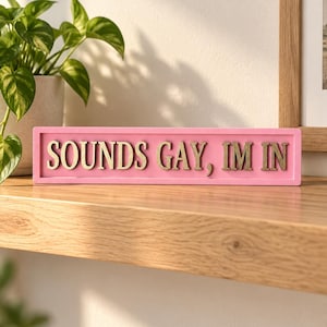 Könnte beinhalten: Ein rechteckiges rosa Schild mit erhabener goldener Schrift, auf dem "SOUNDS GAY, IM IN" steht. Das Schild hat einen einfachen Rahmen und ist für die Aufstellung auf einer ebenen Fläche konzipiert, mit einem starken Kontrast zwischen dem rosa Hintergrund und dem goldenen Text.
