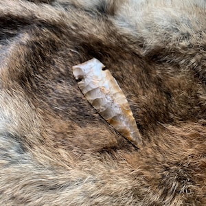 May include: A hand-knapped arrowhead with a light brown and tan color scheme. The arrowhead is resting on a bed of brown and tan fur.