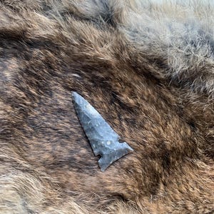 May include: A grey stone arrowhead with a notched base, set against a backdrop of brown and tan fur. The arrowhead is triangular with sharp edges and a pointed tip. The fur has a mix of light and dark brown tones.