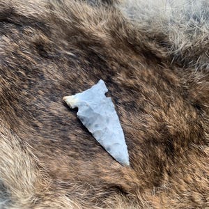 May include: A light gray arrowhead with a sharp point and a small, tan-colored base. The arrowhead is resting on a brown and gray fur surface.