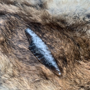 May include: A dark grey obsidian arrowhead with a sharp point and textured surface. The arrowhead is displayed on a backdrop of brown and tan fur, highlighting its craftsmanship and historical significance. The arrowhead is a symbol of ancient tools and craftsmanship.